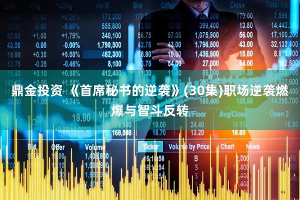 鼎金投资 《首席秘书的逆袭》(30集)职场逆袭燃爆与智斗反转