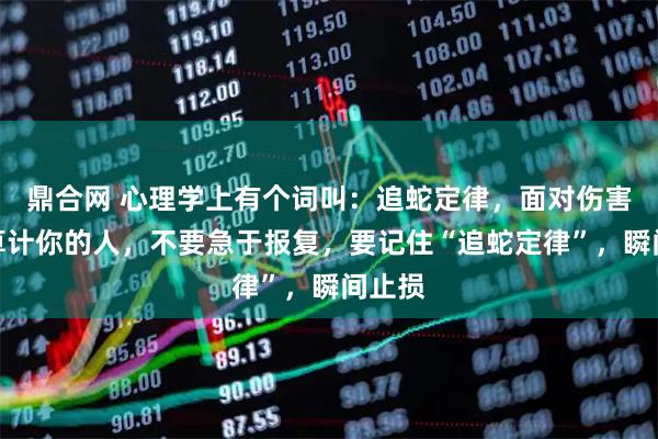 鼎合网 心理学上有个词叫：追蛇定律，面对伤害你、算计你的人，不要急于报复，要记住“追蛇定律”，瞬间止损